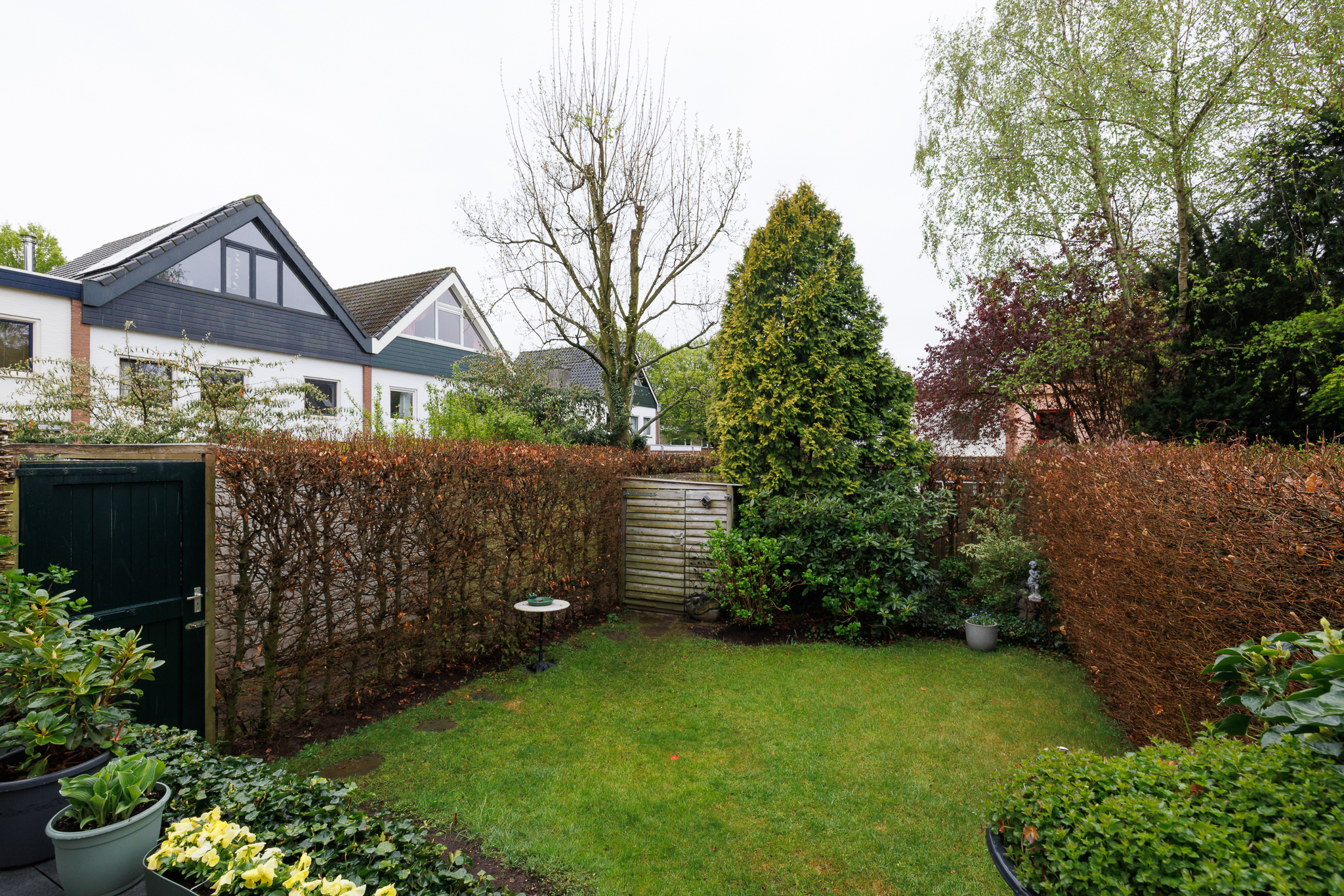 Peter Scheersstraat 16 , 6525 DE Nijmegen 48